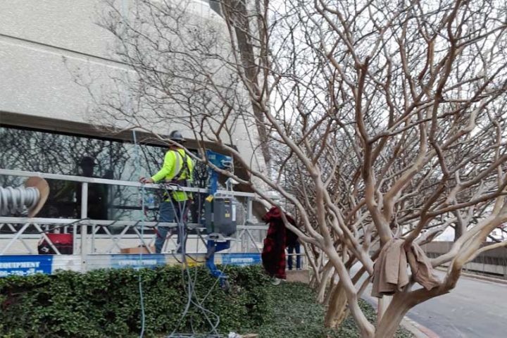 Waterproofing services office building dallas texas